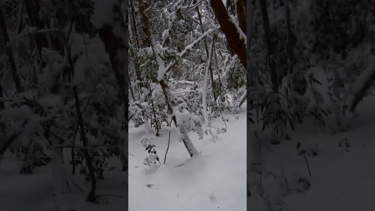 20260102 雪山長靴トレイルランニング