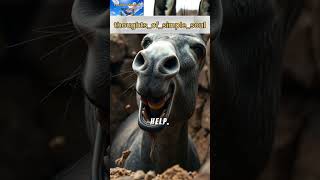 The Donkey In The Well A Story Of Resilience And Hope