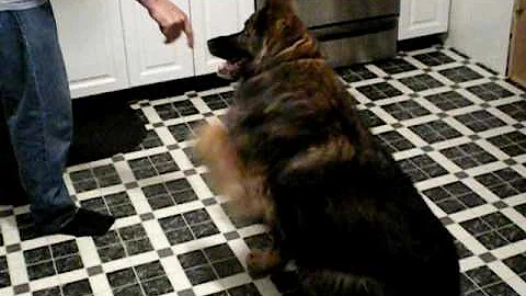 Andy Dunkle & his dog