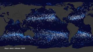 Garbage Patch Visualization - ECCO2 and drifters retimed