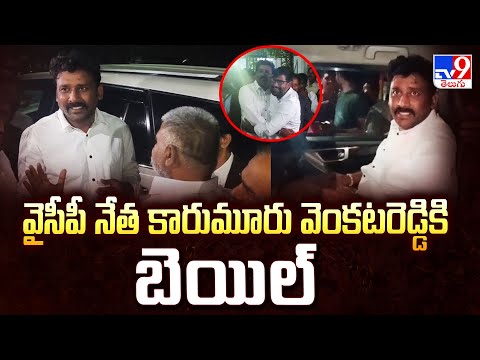 వైసీపీ నేత కారుమూరు వెంకటరెడ్డికి బెయిల్ - TV9 - TV9