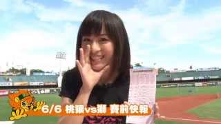 20140606桃猿vs獅 賽前快報