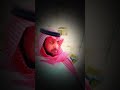 أنا بحياتك شيء كلمات محمد مطر العنزي لحن وأداء الفنان عطاء الله الرشيدي 2025
