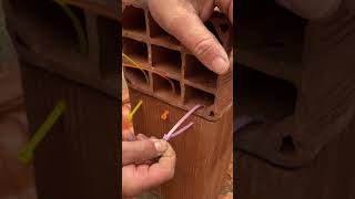 You’ve been joining bricks the wrong way your whole life #ConstructionTips #DIYProjects #CreativeFix