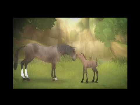Petz Horsez 2 (PS2) Opening
