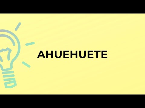 What is the meaning of the word AHUEHUETE?