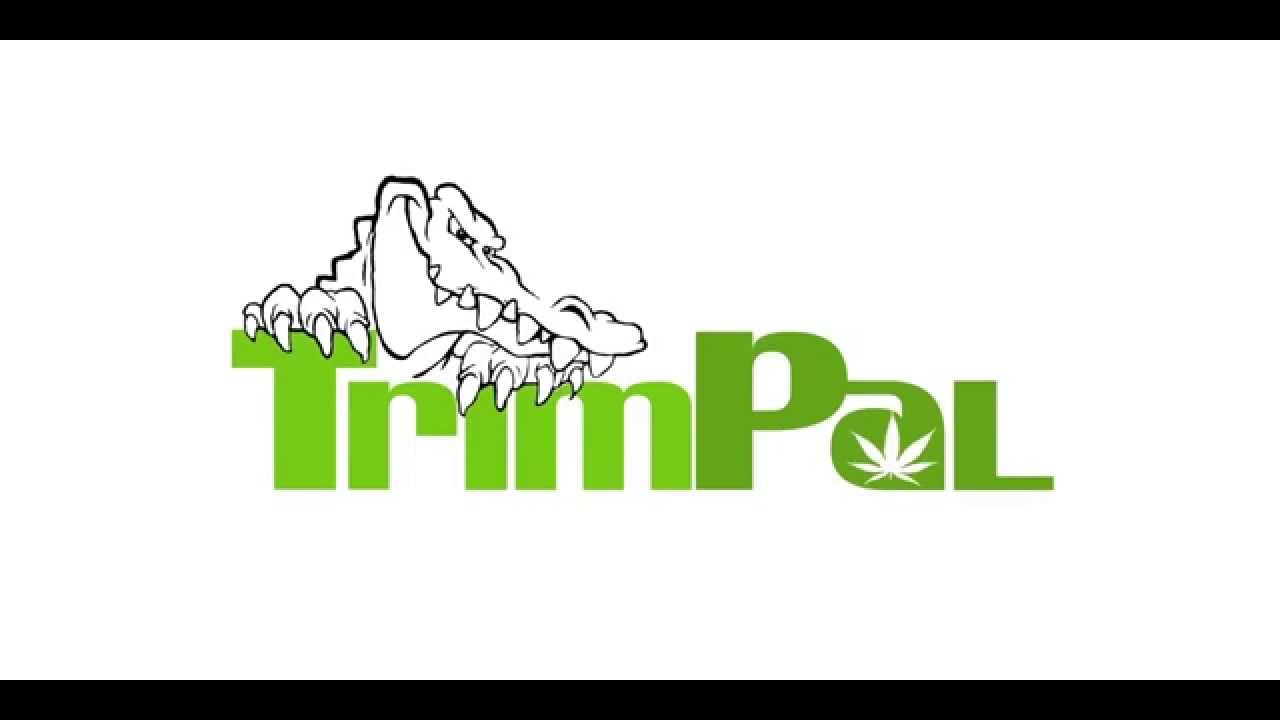 TrimPal Dry Trimmer YouTube