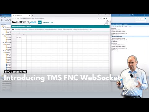 Introducing TMS FNC WebSocket