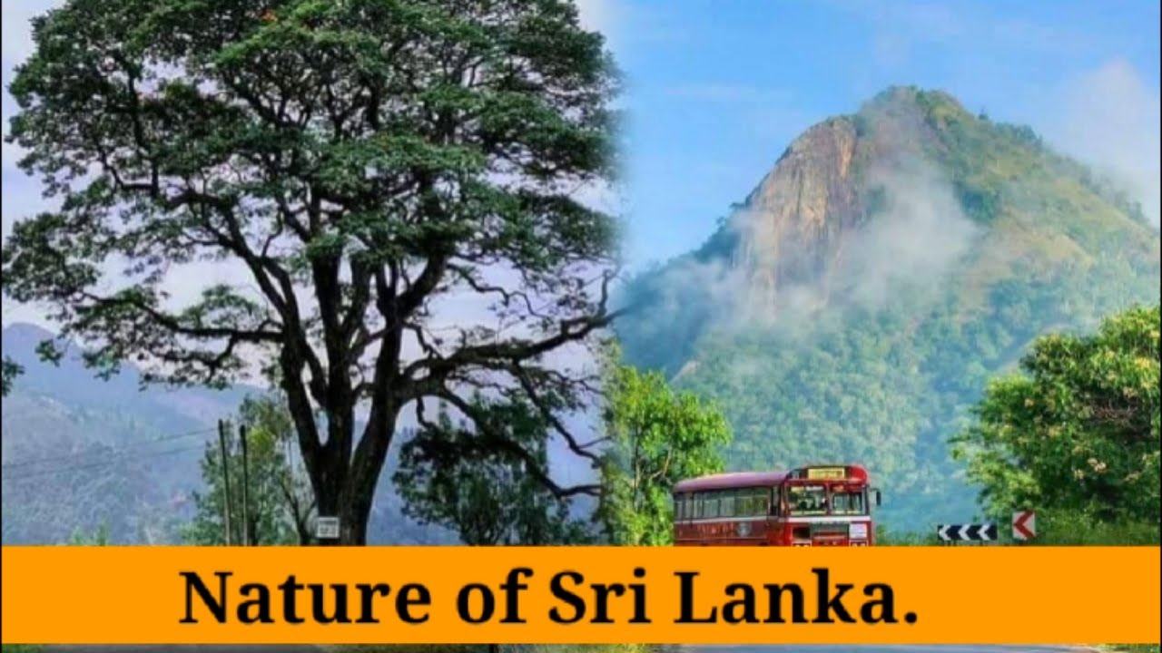 Nature of Sri Lanka | travel | Kekirawa | Thani Oruvan