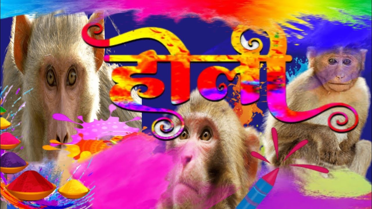 holi song holi video holi funny video होली में टांग उठा कर नाच होगा