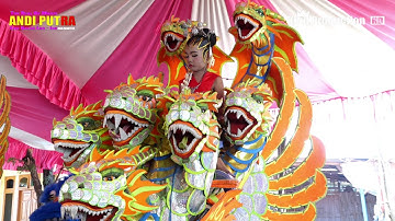 Turu Ning Pawon - Andi Putra Live Desa Bulak Jatibarang Indramayu