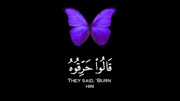 تلاوة تطهر القلب🌿 حالات واتس🌿 من سورة ابراهيم