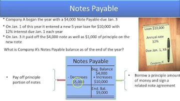 Define Common Liability Accounts - Notes Payable - Video Slide 12