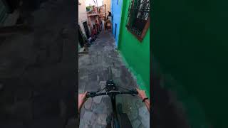 Insane!! Racing Narrow Alleys & Chasing Dogs!! 🫣