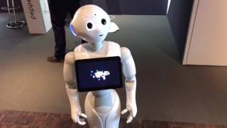 Pepper World Paris 2017