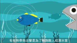 【圖解新聞】聽！魚在說話  --蘋果日報20151218