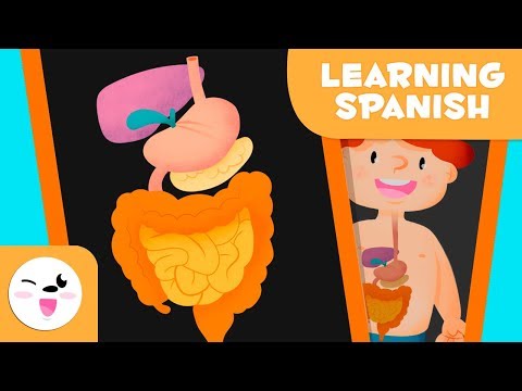 Video for kids