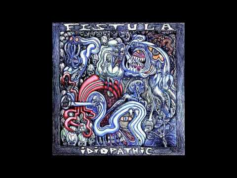 Fistula — Fistula-Baboon