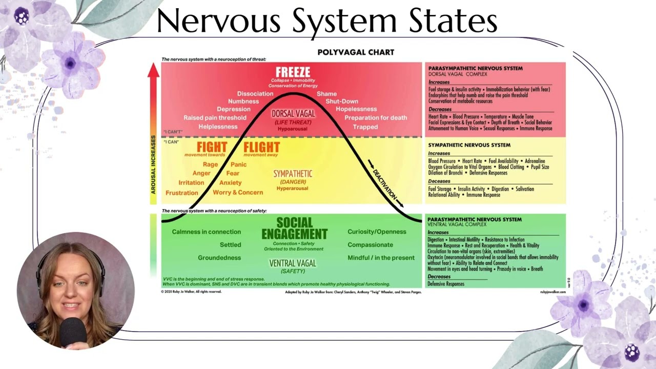 3. Understanding Nervous System States using Polyvagal Theory