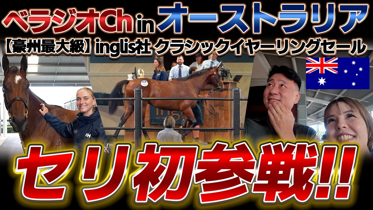 【超貴重動画】「べラジオちゃんねる」inオーストラリア!! 未来の愛馬に出会う為、inglis社クラシックセールへ初参戦!!【ベラジオch】