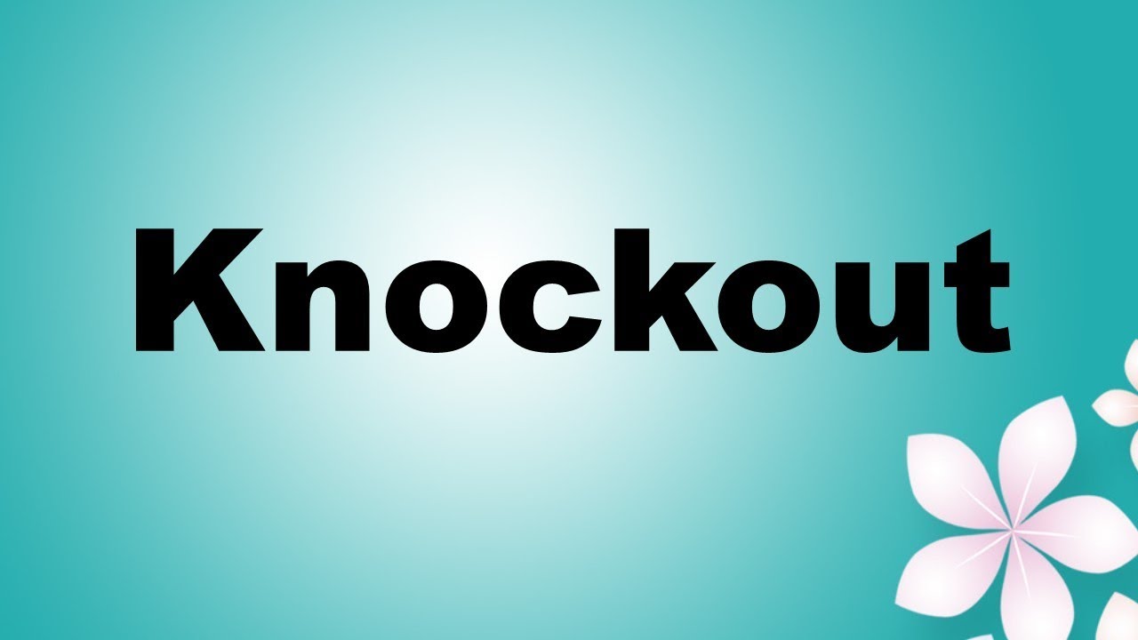 Hindi meaning of knockout YouTube