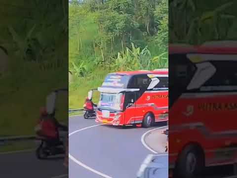 mengular Conan #basuri #telolet #busmania #viral #trending #fyp #shorts