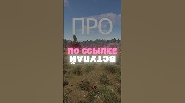 Типы игроков в Раст #bzden #rust