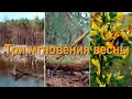 Три мгновения весны  Где-то под Киевом