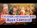 Господи,ниспошли мне Духа Святого! Проповедь священника Георгия Полякова в День Святой Троицы.