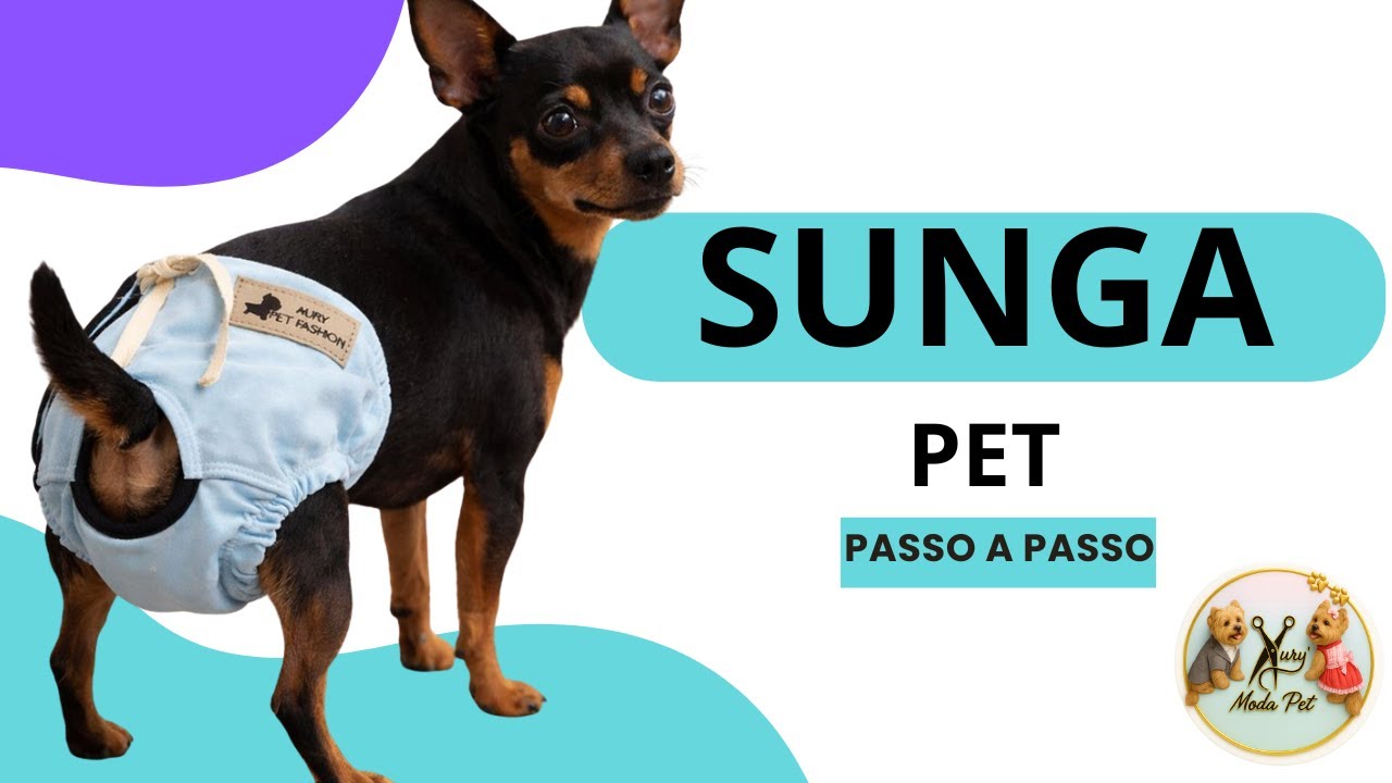 A Melhor SUNGA PET Que Eu Já Fiz! Forrada, Prática e Com Aberturas Certinhas | Moda Pet