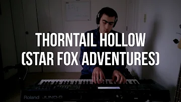 Piano Cover #177: ThornTail Hollow (Star Fox Adventures)