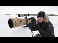 WILDLIFE PHOTOGRAPHY IN WINTER | a great photo adventure in the island of Hrisey