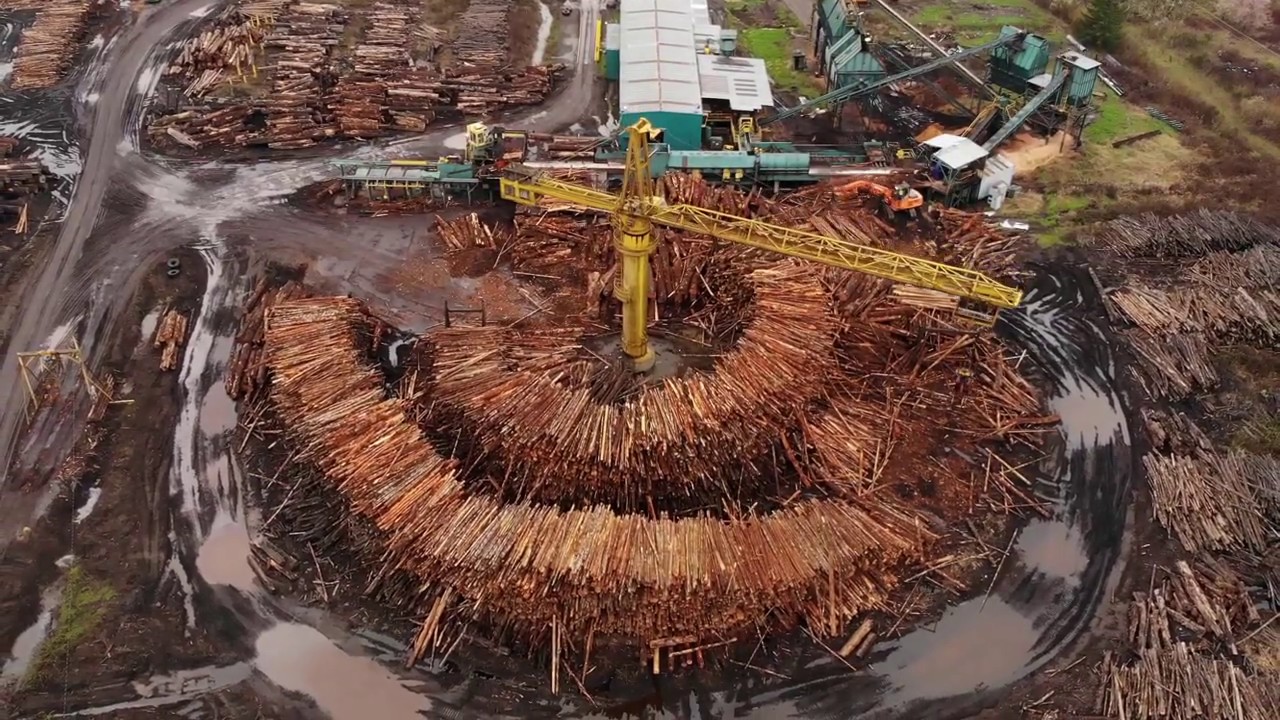 Logging Company in the North West YouTube