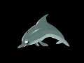Plants Vs Zombies Dolphin Sound Effects