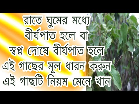 ভিডিও: আপনার ঘুমের মধ্যে farting বন্ধ করার 3 সহজ উপায়