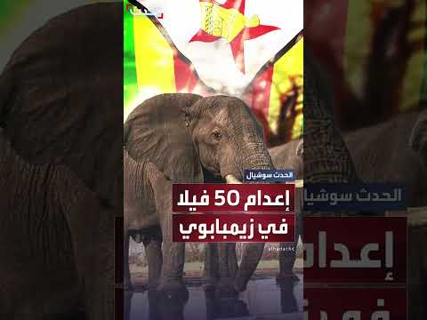 زيمبابوي تخطط لإعدام 50 فيلاً وتوزيع لحومها