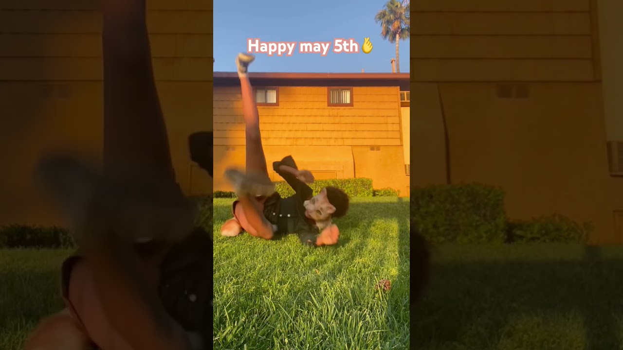 Happy may 5 th {