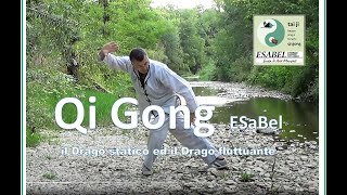 ESaBel; esercizi di Qi Gong : Drago statico e Drago che fluttua Resimi