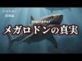 【リマスタ総集編】メガロドンの真実|巨大化・生存説・最新研究で迫る最強捕食者