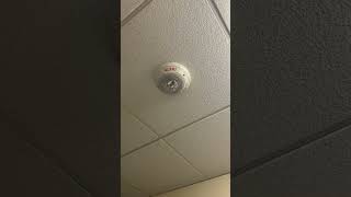 System Sensor Spectralert Advance SPSCW Speaker Strobe