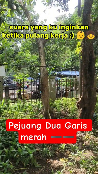 Bagi Yang Sedang Menantikan Momongan Semoga Alloh Segerakan #pejuanggarisdua #anak #trending #shorts