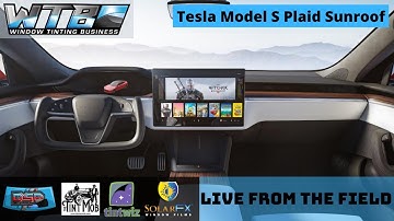 LIVE: Intro to the Window Tinting Industry