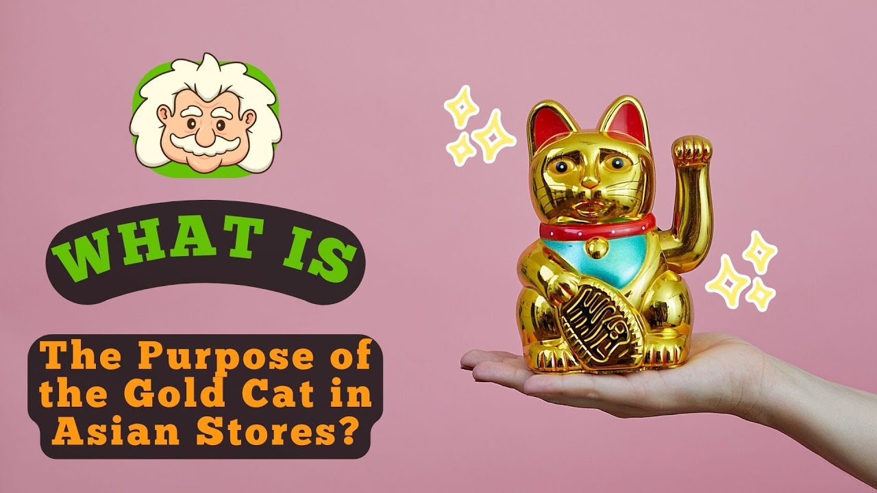 What Is the Purpose of the Gold Cat in Asian Stores? The Story Behind ...