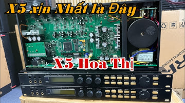 Cập bến lô vang Số X5 Vinal Bản Quyền Hoa thị Huyền thoại, Hàng Bãi Tuyển Trọn giá Rẻ Bèo