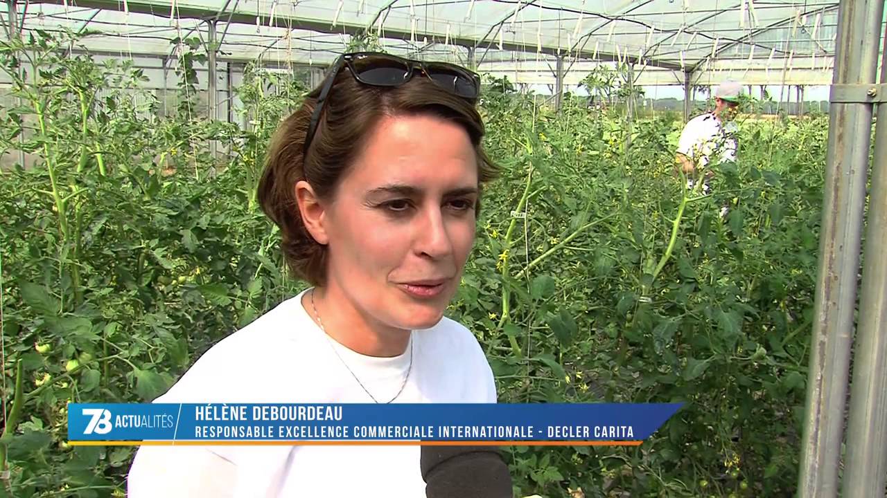 Société : des salariés deviennent jardiniers le temps d’une action solidaire