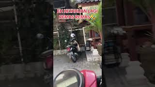 Ketahuan Lagi Remas Remas Ktk, ,,, ,,