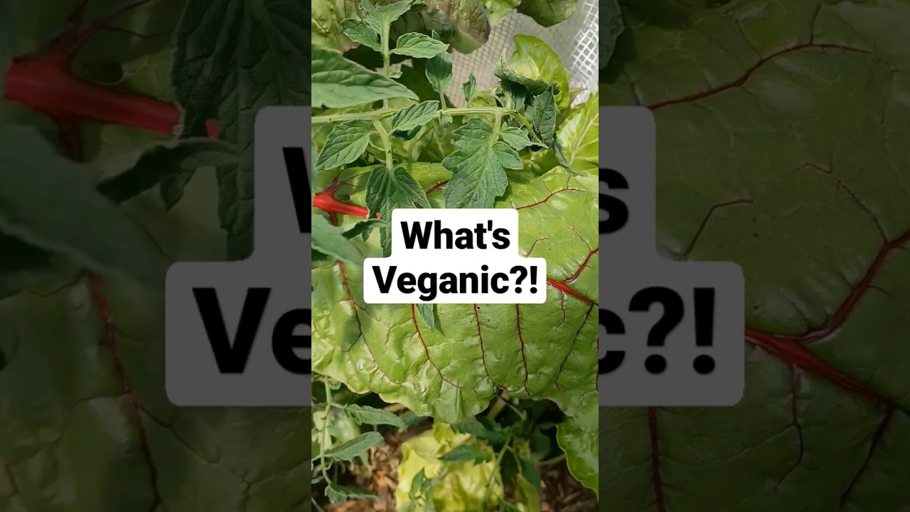 What's Veganic?! 
