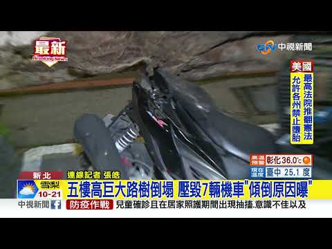 砰! "五樓高"路樹倒毀7機車 樹根腐爛無抓地力│中視新聞 20220625