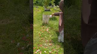 Download Lagu tiada yang abadi. MP3 Download Lagu tiada yang abadi. MP3