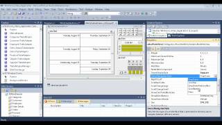 WinWeekView Overview